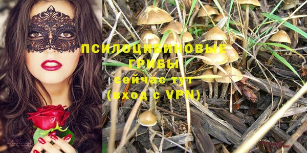 МДМА Алексеевка