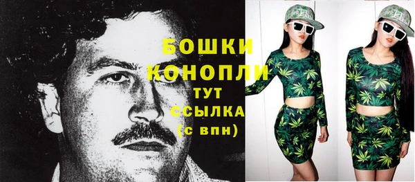 шишки Алзамай