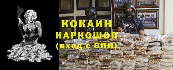 шишки Алзамай