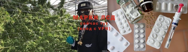 ПСИЛОЦИБИНОВЫЕ ГРИБЫ Алексин