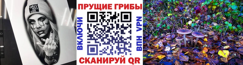 Галлюциногенные грибы мицелий  где купить   Гвардейск 